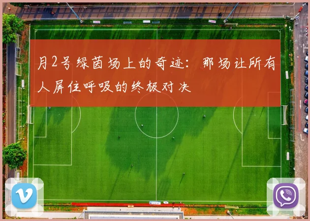 月2号绿茵场上的奇迹:那场让所有人屏住呼吸的终极对决